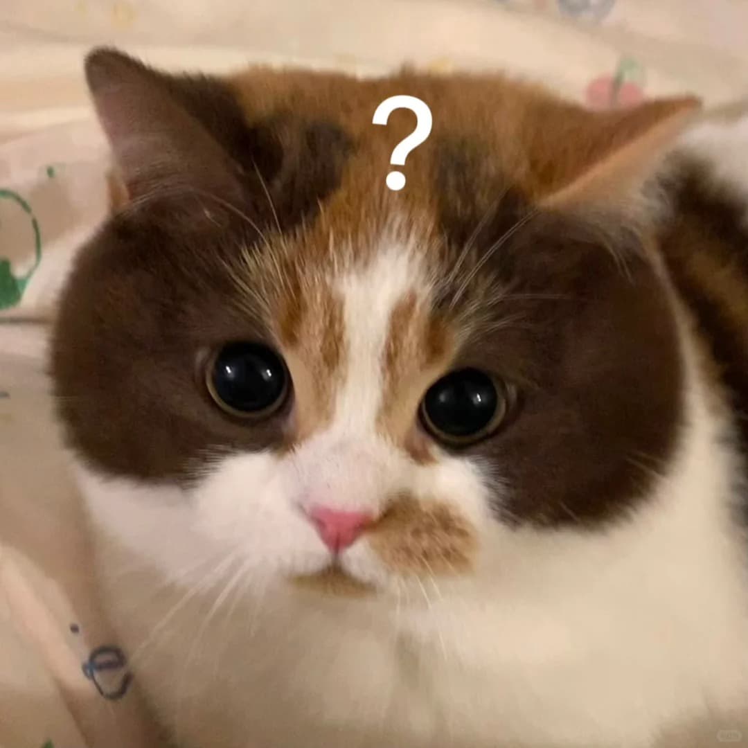 Copy of Custom Christmas Sweater 1763972087846 0